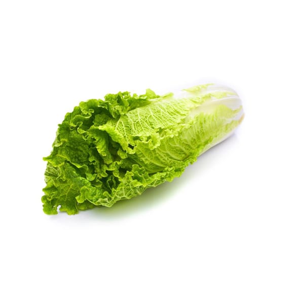Purple Cabbage – Green Smart Food Service