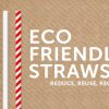 eco-friendly-straws