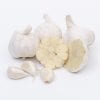 Garlic Case (4)